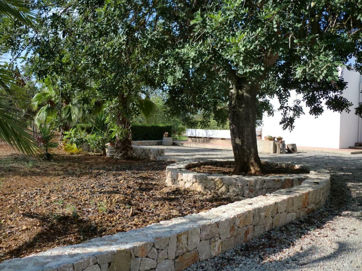 סנט לורנס דה בלפיה Villa Sa Vinyeta מראה חיצוני תמונה